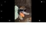 Danny and Abner
