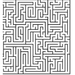 maze to freedom