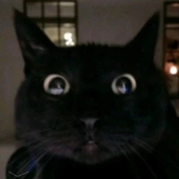 caseoh obby + story icon