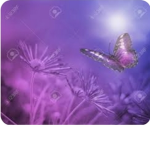Violettaschmi