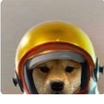wadifiegrrthej