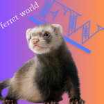 Ferret World