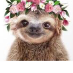 Sloth Army 2021