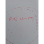Rat summing