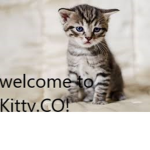 Kitty. Co