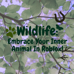 Wildlife: Embrace Your Inner Animal