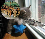 the sniper snier group :)