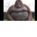 oooooooooooooooooh