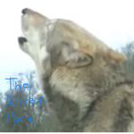 The River Werewolf Pack