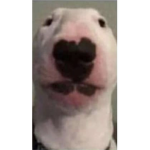 Bløssoms Runwãy
