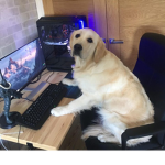 Grupo de ElDoggyDelasTortillas:) YT