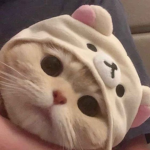 bffsssssssssssss