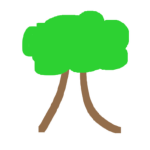 tree bloom