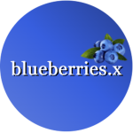 blueberries.x