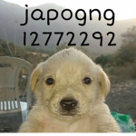 Jxpogang