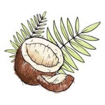 Clothes For Coconuts