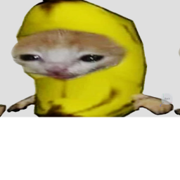 CAT OBBY NEW!
