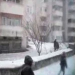 alexandershaven Group Thumbnail