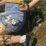 シ aesthetic apparel シ