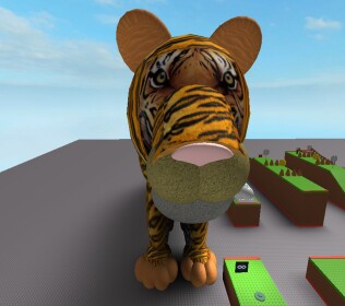 tiger HQ's Tiger training