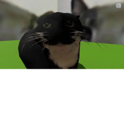 Hannah's Obby