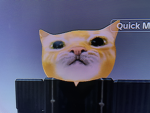 MrWhiskers special forces