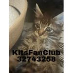 KitsFanClub