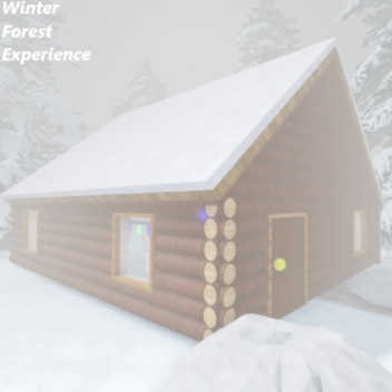 Winter Forest experience