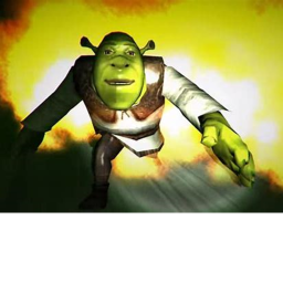 ESCAPE SHREK
