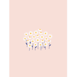 The counting stars