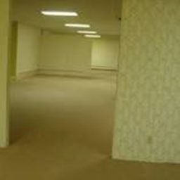 the backrooms "!"