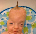 Minijocker3