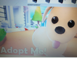 Adopt me fun club