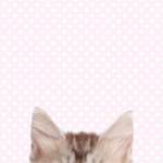 baeify