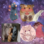 Rat army cult