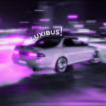 LUXIBUS