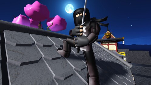 Ninja Training Obby! (NEW)