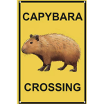 Happy capybara studios