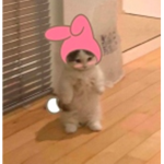 ʙʀᴏᴀᴅᴡᴀʏ ᴀᴜʀᴏʀᴀꜱ