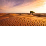 HVNYMG