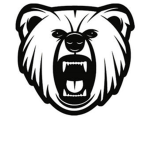 🐻 BEARS 🐻