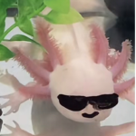 Fortnite and Roblox are the best to play