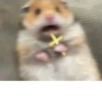 kaammrrynn
