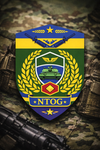 31st Special Protection Battalion