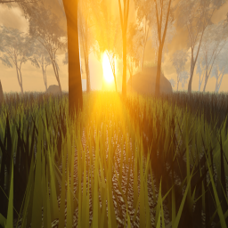 A Peaceful Morning
