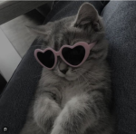 LizzysLuvs