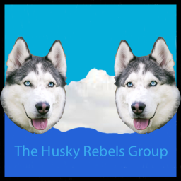 The Husky Gaming Hangout