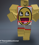 The noodle luck