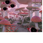 W A K E U P =)