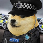The Doge Patrol Specialists